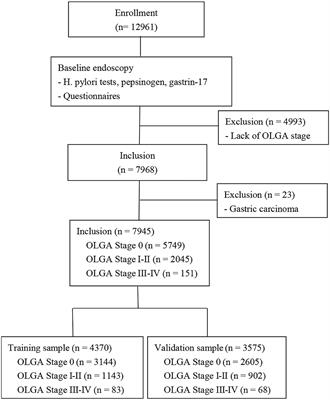 Development and Validation of Nomograms to Predict Operative Link for Gastritis Assessment Any-Stage and Stages III–IV in the Chinese High-Risk Gastric Cancer Population